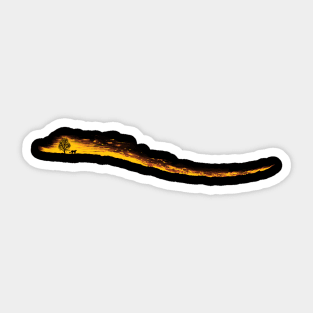 forest fires Sticker